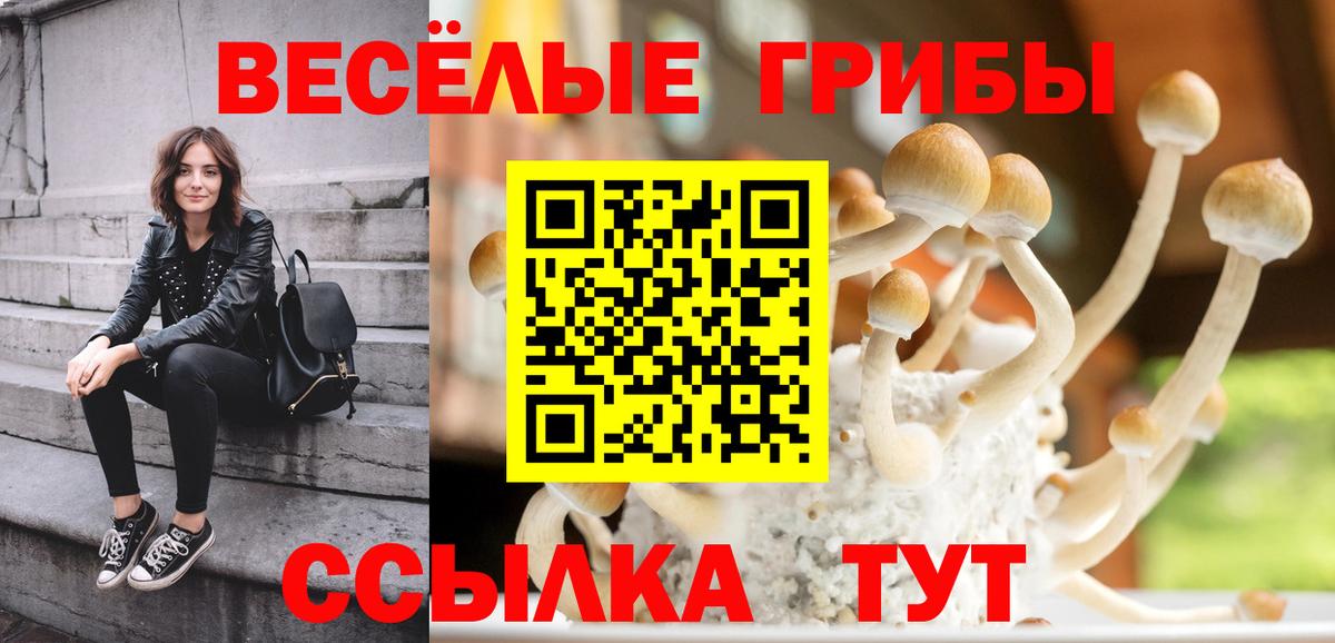 Псилоцибиновые грибы Cubensis  Галлюциногенные грибы Cubensis  Соликамск  Вход с VPN 