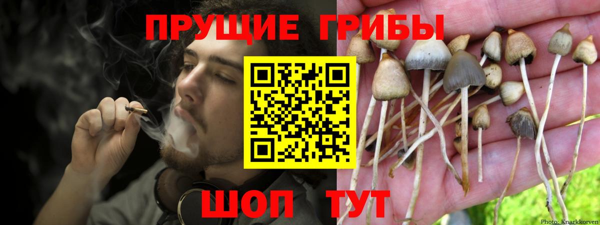 Канабис  APVP СК кристаллы  Меф   ГАШ  Вход с VPN  Соликамск  КОКАИН  Вейп ТГК 