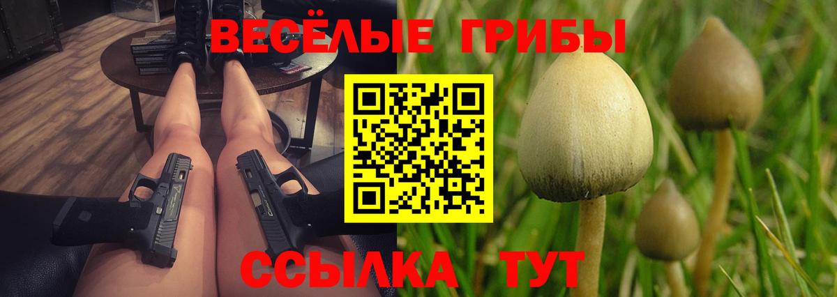 Псилоцибиновые грибы Cubensis Соликамск